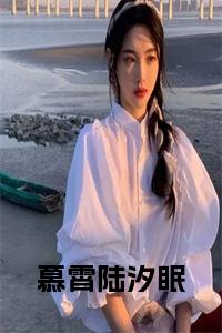 慕霄陆汐眠小说